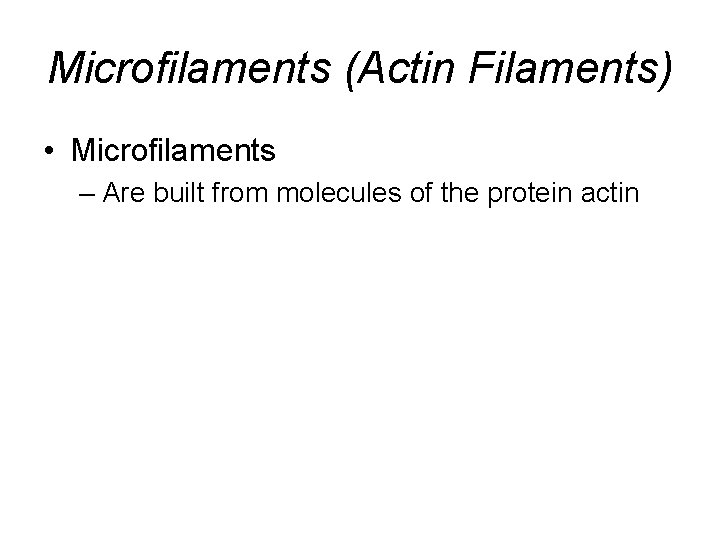 Microfilaments (Actin Filaments) • Microfilaments – Are built from molecules of the protein actin Microfilaments (Actin Filaments) • Microfilaments – Are built from molecules of the protein actin