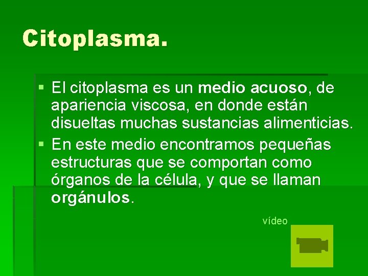 Citoplasma. § El citoplasma es un medio acuoso, de apariencia viscosa, en donde están