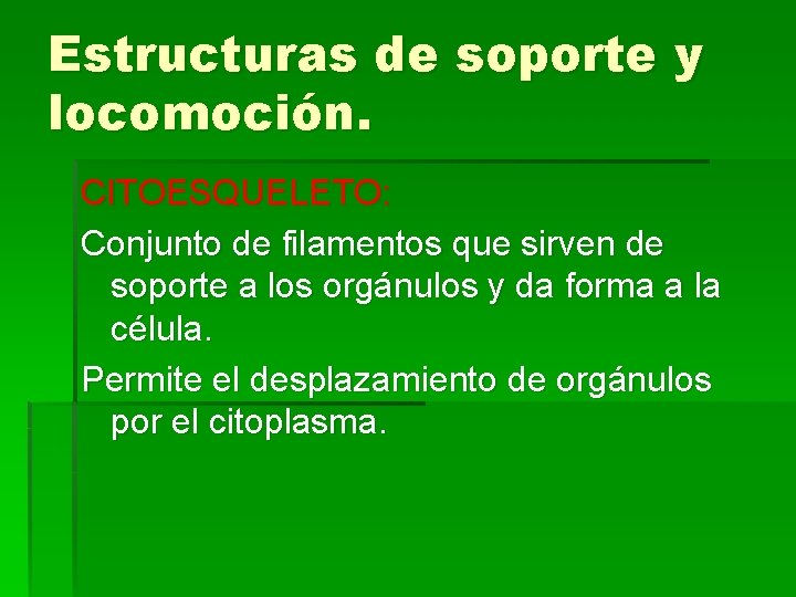 Estructuras de soporte y locomoción. CITOESQUELETO: Conjunto de filamentos que sirven de soporte a