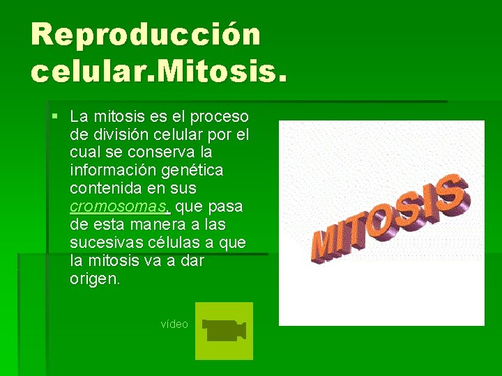 Reproducción celular. Mitosis. § La mitosis es el proceso de división celular por el