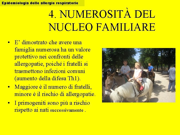 Epidemiologia delle allergie respiratorie 4. NUMEROSITÀ DEL NUCLEO FAMILIARE • E’ dimostrato che avere