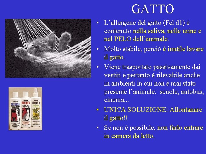 GATTO • L’allergene del gatto (Fel d 1) è contenuto nella saliva, nelle urine