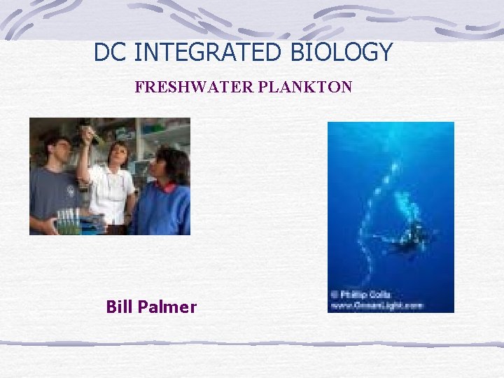 DC INTEGRATED BIOLOGY FRESHWATER PLANKTON Bill Palmer 
