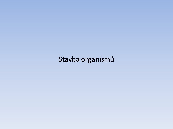 Stavba organismů 