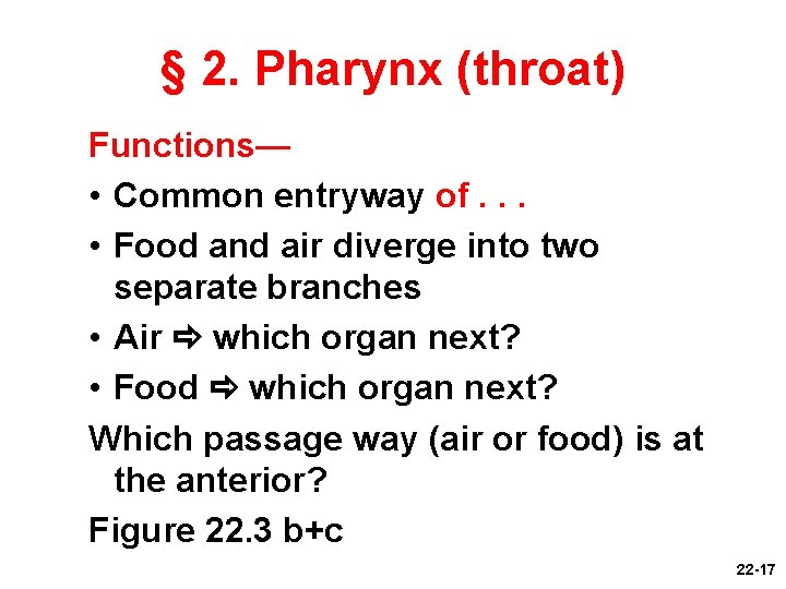 § 2. Pharynx (throat) Functions— • Common entryway of. . . • Food and