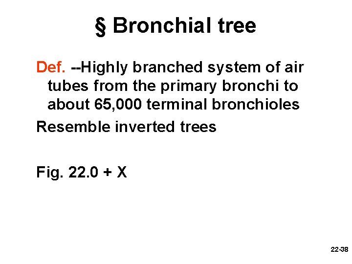 § Bronchial tree Def. --Highly branched system of air tubes from the primary bronchi