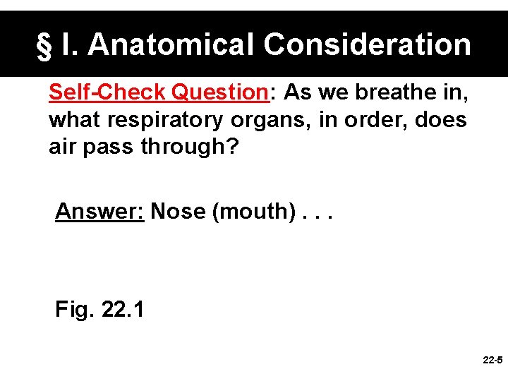 § I. Anatomical Consideration Self-Check Question: As we breathe in, what respiratory organs, in