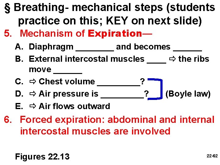 § Breathing- mechanical steps (students practice on this; KEY on next slide) 5. Mechanism