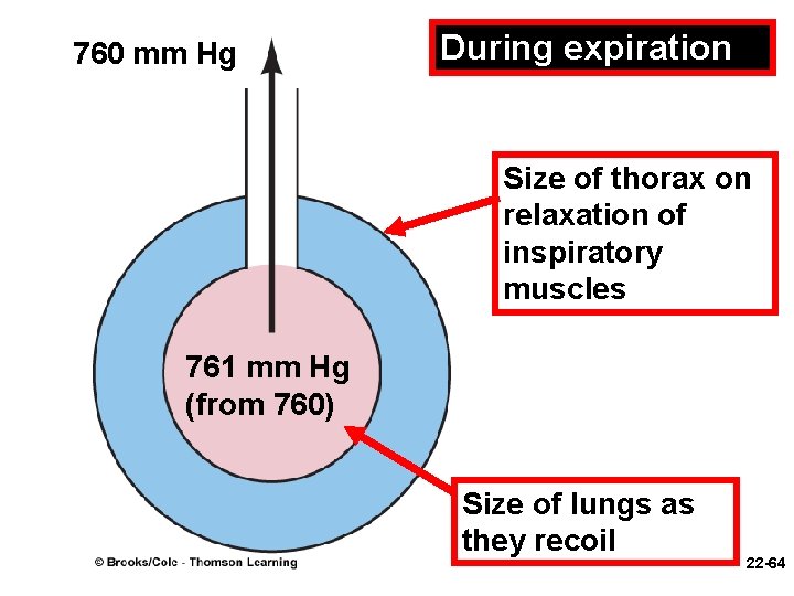 760 mm Hg During expiration Size of thorax on relaxation of inspiratory muscles 761