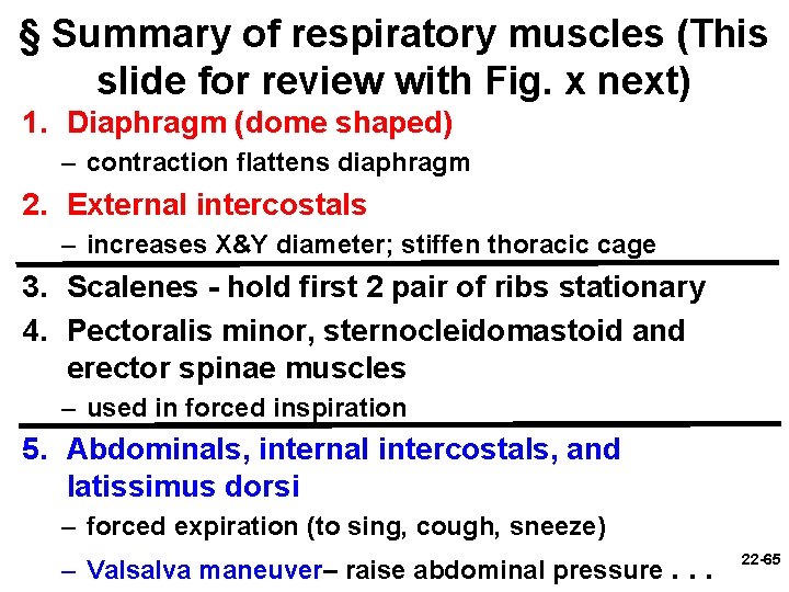 § Summary of respiratory muscles (This slide for review with Fig. x next) 1.