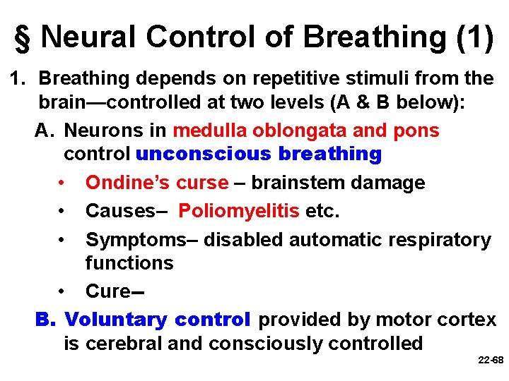 § Neural Control of Breathing (1) 1. Breathing depends on repetitive stimuli from the