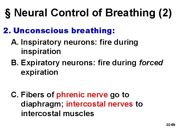 § Neural Control of Breathing (2) 2. Unconscious breathing: A. Inspiratory neurons: fire during