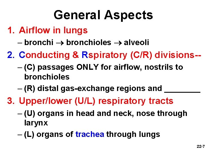 General Aspects 1. Airflow in lungs – bronchioles alveoli 2. Conducting & Rspiratory (C/R)
