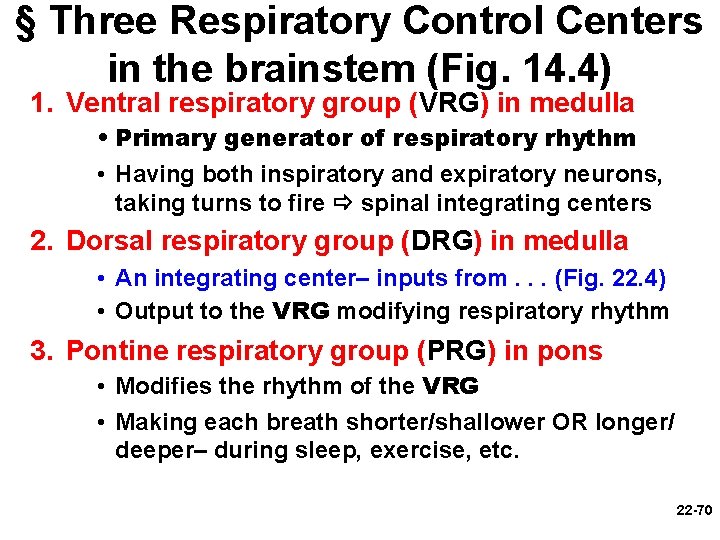 § Three Respiratory Control Centers in the brainstem (Fig. 14. 4) 1. Ventral respiratory