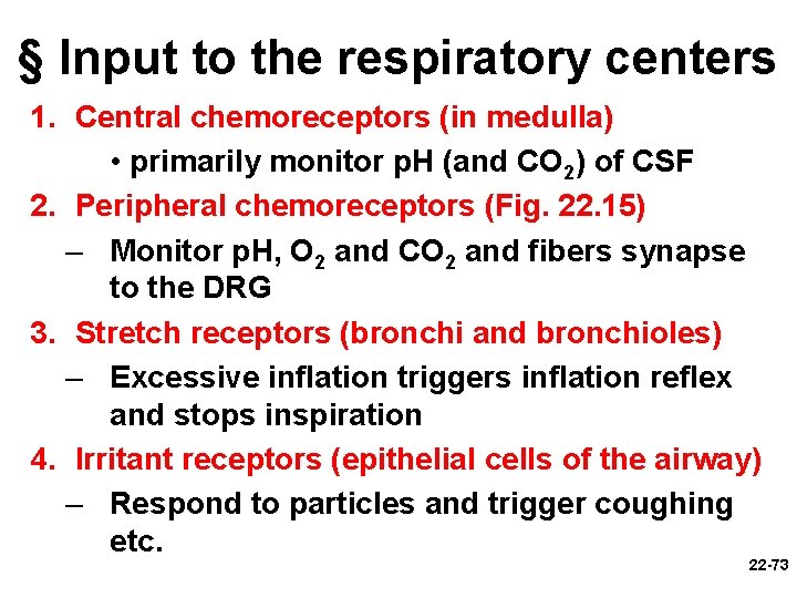 § Input to the respiratory centers 1. Central chemoreceptors (in medulla) • primarily monitor