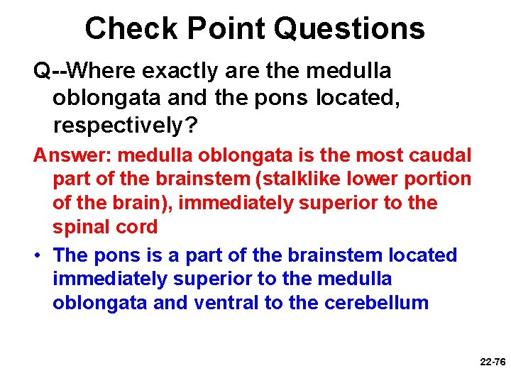 Check Point Questions Q--Where exactly are the medulla oblongata and the pons located, respectively?