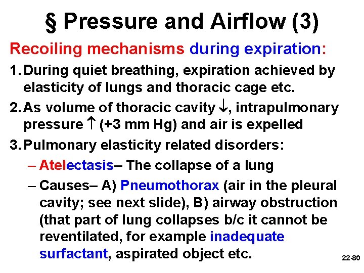 § Pressure and Airflow (3) Recoiling mechanisms during expiration: 1. During quiet breathing, expiration
