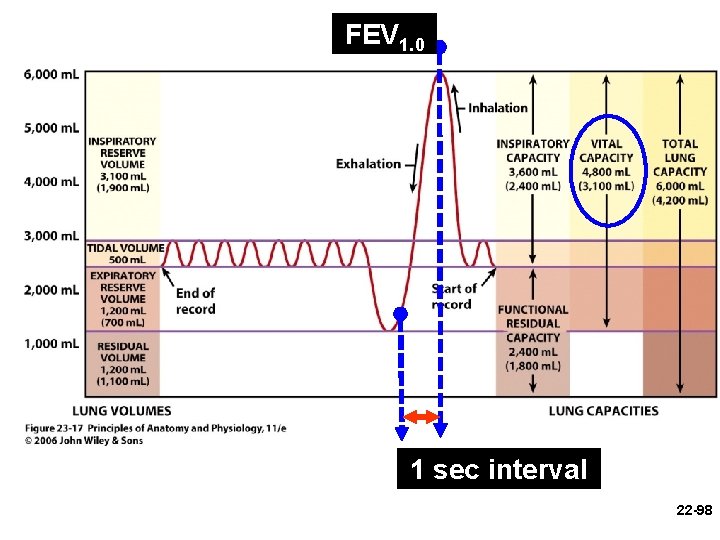 FEV 1. 0 1 sec interval 22 -98 