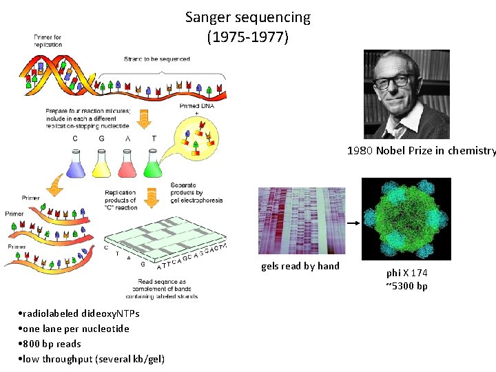 Sanger sequencing (1975 -1977) 1980 Nobel Prize in chemistry gels read by hand •