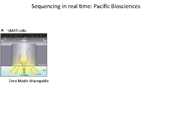 Sequencing in real time: Pacific Biosciences SMRT cells Zero Mode Waveguides 