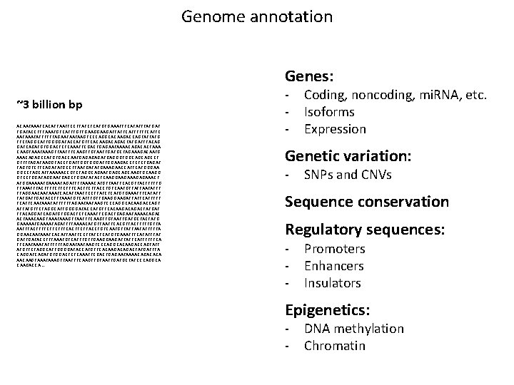 Genome annotation Genes: ~3 billion bp ACAATAAATCACATTAATTCCTTATCTCATGTGAAATTTCATATTTATGATACCTTTAAATGTCATTTGTTGAAGATTATTCATTTTTTCATTC AATATTTTTTAGAATAATAAGTCCCAGGCACAAGACCAGTATTATG TTCTAGGCATTGGGGATACCATGTTCACAAGACTATGATTTACAG GATCAGATGTGGACTCTCAAATTCGACTGAGAATAAAACAGACACTAAA CAAGTAAAGTTAATTTCAAGTTGTAATTGATGCTAGAAAGACAATG AAACAGAGCCATGTGACCAATGAGATGAGGGTGGCAGCAGCCT GTTTTAGATAAGGTACCTGATTGGTGGGATTGGAAGACCTCTCTGAGAT TAGTGTCTTCAGATATGCCTTAATGATATGAAAGAACCATTCATGGGAA