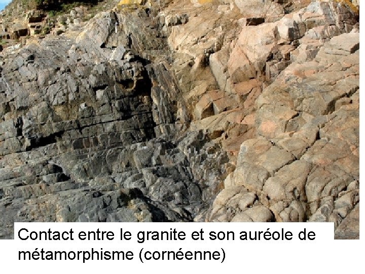 Contact entre le granite et son auréole de métamorphisme (cornéenne) 