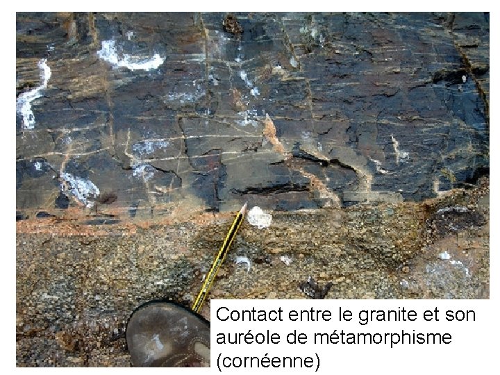 Contact entre le granite et son auréole de métamorphisme (cornéenne) 