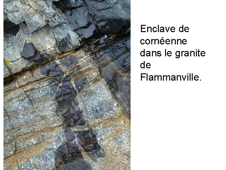 Enclave de cornéenne dans le granite de Flammanville. 