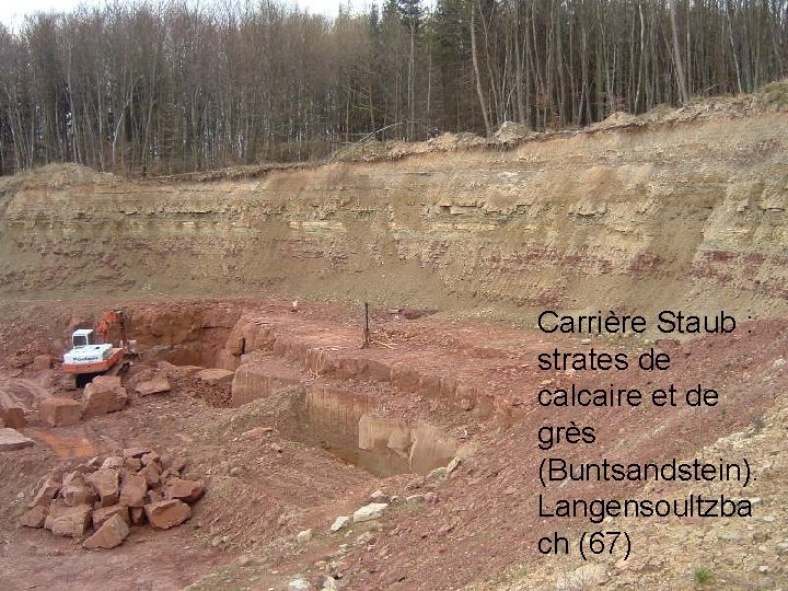 Carrière Staub : strates de calcaire et de grès (Buntsandstein). Langensoultzba ch (67) 