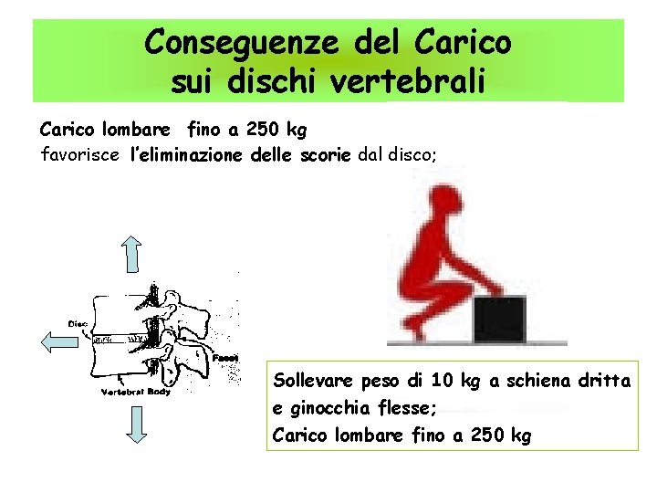 Conseguenze del Carico sui dischi vertebrali Carico lombare fino a 250 kg favorisce l’eliminazione