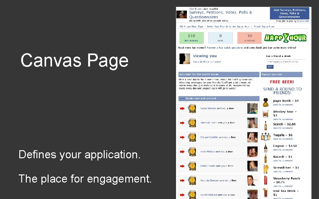 Canvas Page Defines your application. The place for engagement. 