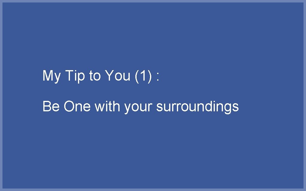 My Tip to You (1) : Be One with your surroundings 
