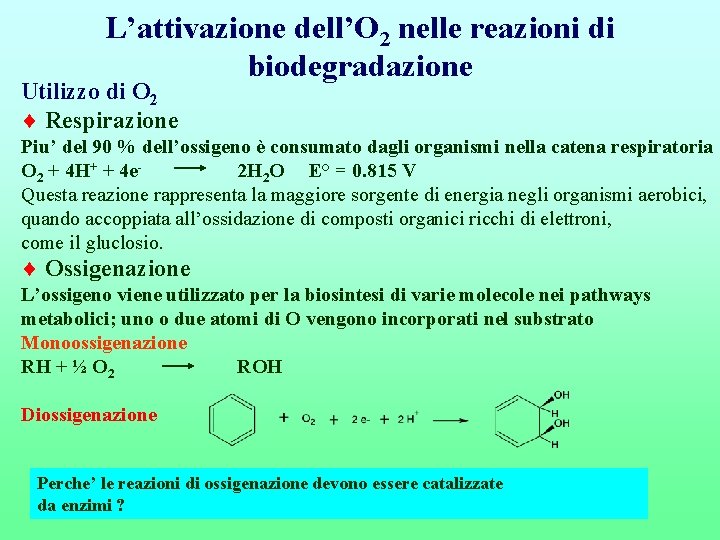 L’attivazione dell’O 2 nelle reazioni di biodegradazione Utilizzo di O 2 Respirazione Piu’ del