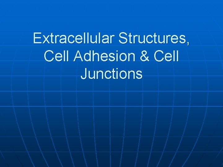 Extracellular Structures, Cell Adhesion & Cell Junctions 