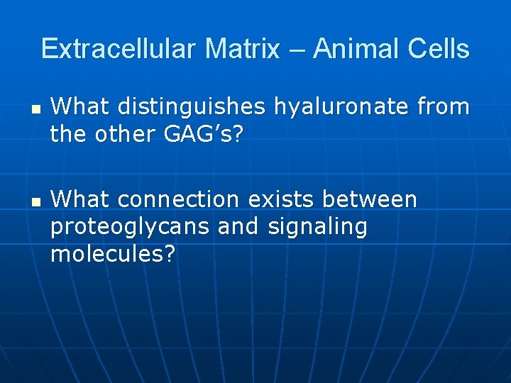 Extracellular Matrix – Animal Cells n n What distinguishes hyaluronate from the other GAG’s?