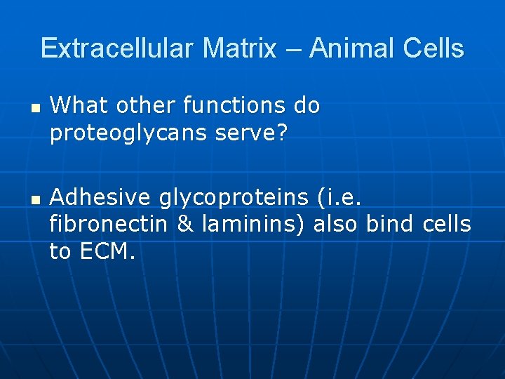 Extracellular Matrix – Animal Cells n n What other functions do proteoglycans serve? Adhesive