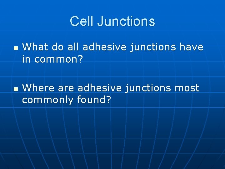 Cell Junctions n n What do all adhesive junctions have in common? Where adhesive