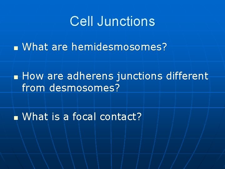 Cell Junctions n n n What are hemidesmosomes? How are adherens junctions different from