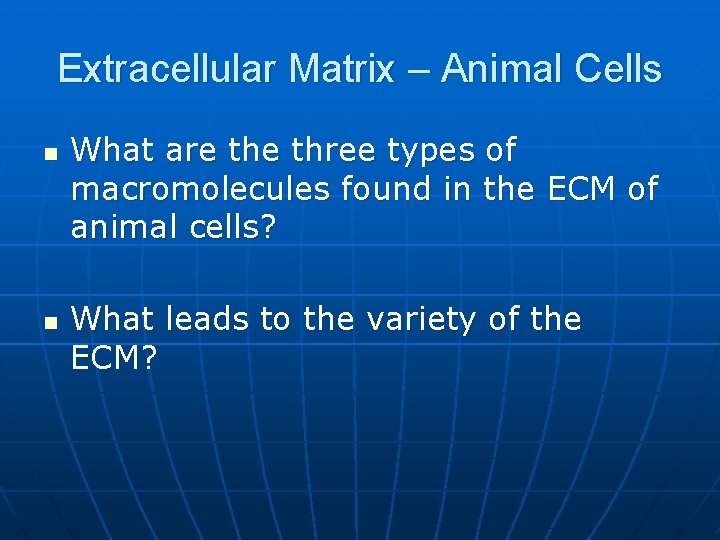 Extracellular Matrix – Animal Cells n n What are three types of macromolecules found