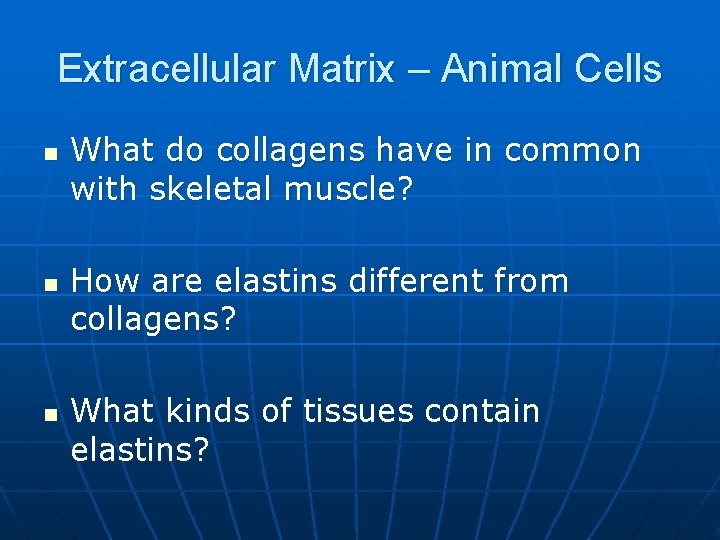 Extracellular Matrix – Animal Cells n n n What do collagens have in common