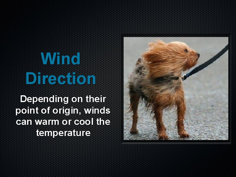 Wind Direction Depending on their point of origin, winds can warm or cool the