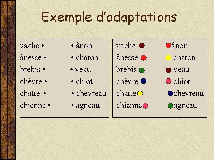 Exemple d’adaptations vache • • ânon ânesse • • chaton brebis • • veau