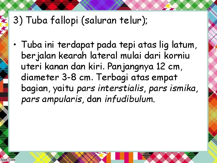 3) Tuba fallopi (saluran telur); • Tuba ini terdapat pada tepi atas lig latum,