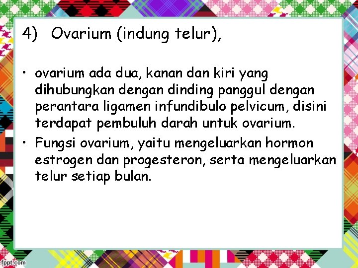 4) Ovarium (indung telur), • ovarium ada dua, kanan dan kiri yang dihubungkan dengan