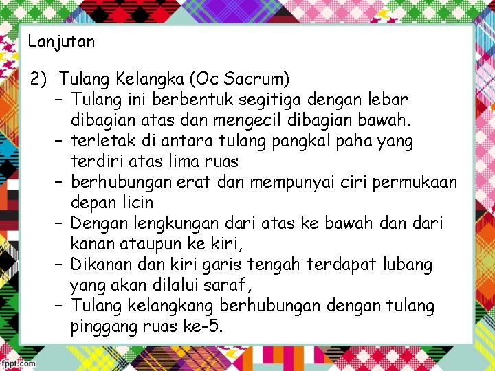 Lanjutan 2) Tulang Kelangka (Oc Sacrum) – Tulang ini berbentuk segitiga dengan lebar dibagian