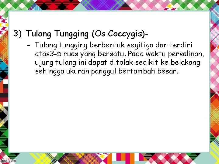 3) Tulang Tungging (Os Coccygis)- Tulang tungging berbentuk segitiga dan terdiri atas 3 -5