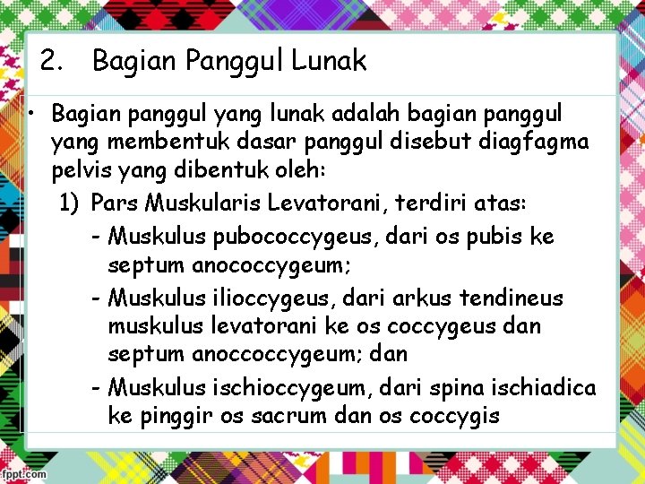 2. Bagian Panggul Lunak • Bagian panggul yang lunak adalah bagian panggul yang membentuk