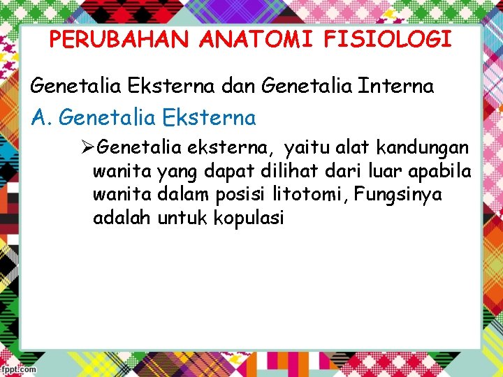 PERUBAHAN ANATOMI FISIOLOGI Genetalia Eksterna dan Genetalia Interna A. Genetalia Eksterna ØGenetalia eksterna, yaitu