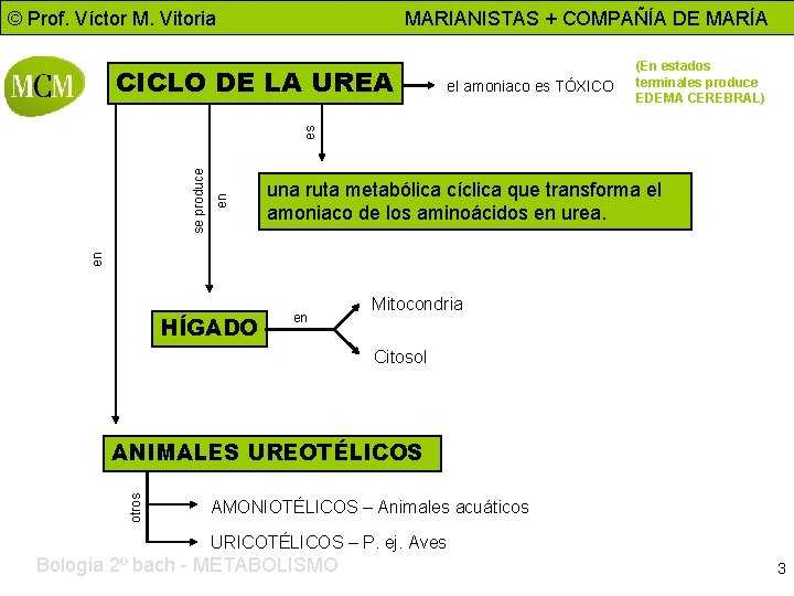 © Prof. Víctor M. Vitoria MARIANISTAS + COMPAÑÍA DE MARÍA el amoniaco es TÓXICO