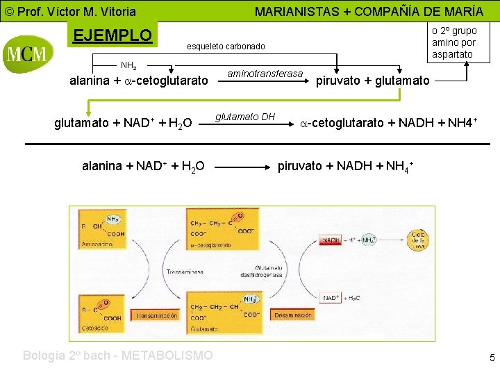 © Prof. Víctor M. Vitoria EJEMPLO MARIANISTAS + COMPAÑÍA DE MARÍA o 2º grupo